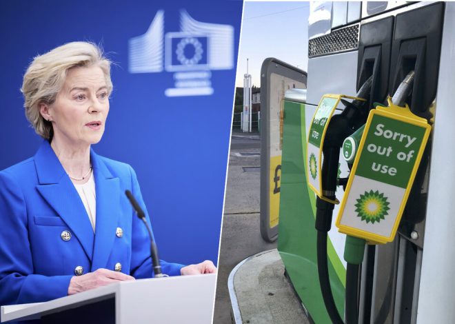 «No es viable»: Europa quiere acabar con los coches de combustión en 2035. Los fabricantes tienen sus propios planes